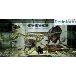 Государственный Дарвиновский музей Государственный Дарвиновский музей