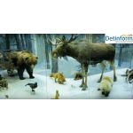 Государственный Дарвиновский музей Государственный Дарвиновский музей