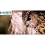 Государственный Дарвиновский музей Государственный Дарвиновский музей