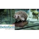 Государственный Дарвиновский музей Государственный Дарвиновский музей