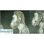 Государственный Дарвиновский музей Государственный Дарвиновский музей