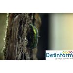 Палеонтологический музей РАН имени Ю.А. Орлова