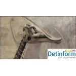 Палеонтологический музей РАН имени Ю.А. Орлова