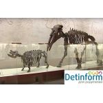 Палеонтологический музей РАН имени Ю.А. Орлова