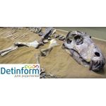 Палеонтологический музей РАН имени Ю.А. Орлова