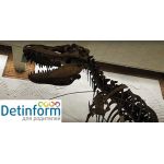 Палеонтологический музей РАН имени Ю.А. Орлова