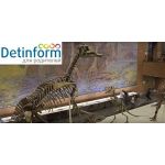 Палеонтологический музей РАН имени Ю.А. Орлова