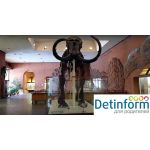 Палеонтологический музей РАН имени Ю.А. Орлова