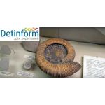 Палеонтологический музей РАН имени Ю.А. Орлова