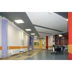 Государственное бюджетное общеобразовательное учреждение города Москвы "Школа № 1311" (бывший Центр образования №1311)