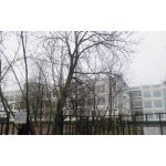 Средняя общеобразовательная школа №728 -  Корпус 5-11 классов, ГБОУ города Москвы "Школа № 851"