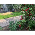 НОУ Средняя общеобразовательная школа "Новое образование"