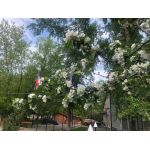 НОУ Средняя общеобразовательная школа "Новое образование"