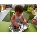 Частный детский сад "Династия - Коммунарка"