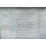 Каток "Искра" в Ботаническом саду