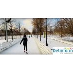 Каток «Зеркальный» в Парке культуры им. Горького Каток «Зеркальный» в Парке культуры им. Горького