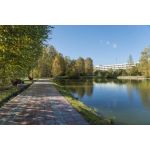 Детский творческо-лингвистический лагерь "Объединенное королевство"