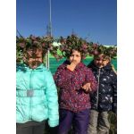 Частный детский сад "Голубой вагончик"