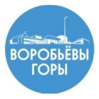 логотип школы Воробьевы горы