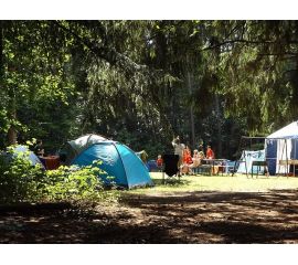 Мода на курение и алкоголь. Как этого избежать, отправляя ребенка в детский лагерь?