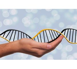 Как наследственность влияет на развитие ребёнка, его характер и возможное будущее