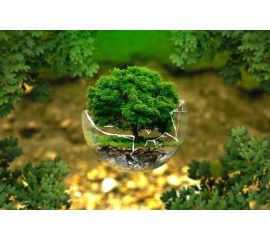 Что такое альтернативное эко-воспитание детей