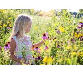 Экология: не детское дело?