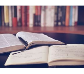 Кризис сделает российское частное образование сильнее?