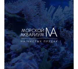 Океанариум "Морской аквариум на Чистых прудах"