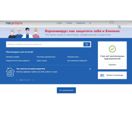 Пошаговая инструкция подачи заявки на материнский капитал на сайте Госуслуг.