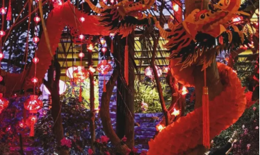 Китайский Новый год в Аптекарском огороде: c 23 января по 16 марта