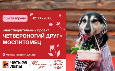 Фестиваль «Моспитомец х Четвероногий друг».16-19 апреля 2026.5+
