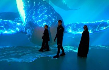 Иммерсивное Арт-пространство Luminar на ВДНХ. 3+