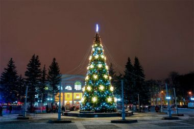 Новый Год в Долгопрудном: Программа мероприятий