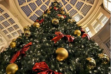 50 лучших Новогодних Ёлок для детей 2025/26 в Москве | Афиша представлений