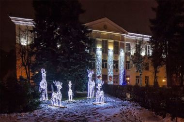 Новый Год в городском округе Пушкинский: Программа мероприятий