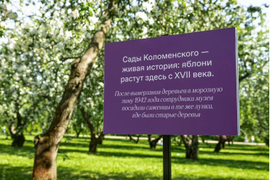 В Коломенском расцвели все яблоневые сады!