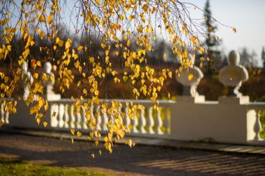 День народного единства и ночь искусств в музее-заповеднике «Архангельское»