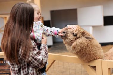 «Альпака Парк» дарит бесплатный вход детям на осенние каникулы