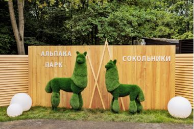 «Альпака Парк» дарит бесплатный вход детям на весенние каникулы