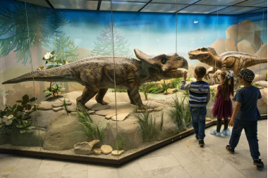 Дошкольная Академия в Дарвиновском музее. 4+ Дошкольная Академия в Дарвиновском музее. 4+