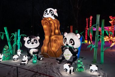 Фестиваль волшебных китайских фонарей продолжит работу до 29 февраля