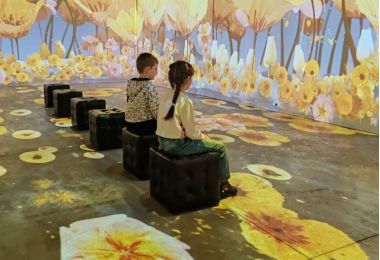 Иммерсивное шоу «Лаборатория цвета» в Центре цифрового искусства «Внутри».6+ 