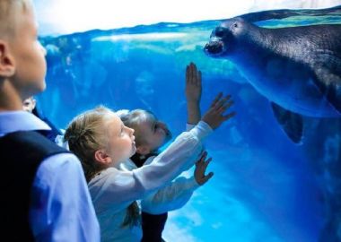 Новые образовательные программы для детей в Москвариуме. 5+