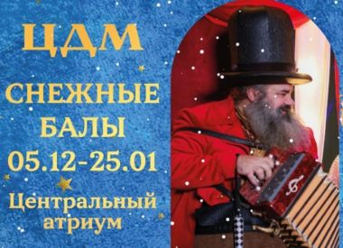 Снежные Балы с аниматорами в ЦДМ.23-25 января.0+