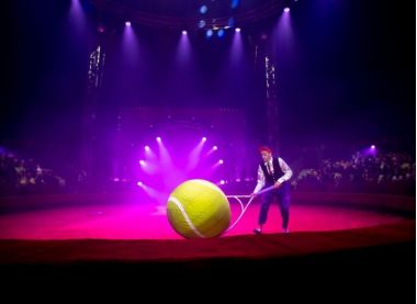 Гала-шоу «Пять цирков-один манеж» в парке «Южное Бутово». 0+