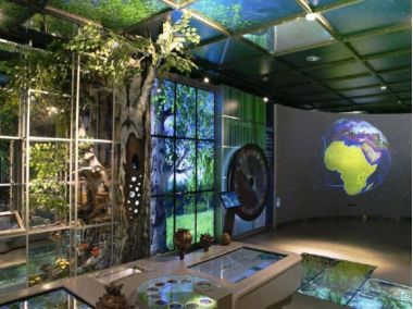 Экопраздник "День Земли" в Дарвиновском музее. 22.04.25. 6+ Экопраздник "День Земли" в Дарвиновском музее. 22.04.25. 6+