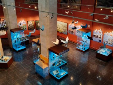 Авторская экскурсия по выставке "Голуби" в Дарвиновском музее. 13.03.25. 6+