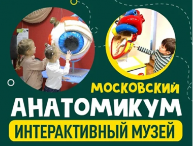 Музей тела человека «Анатомикум» в ТРЦ «Мозаика». 0+