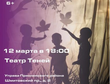 Магия Театра Теней: интерактивная программа для детей и взрослых. 12.03.25. 6+